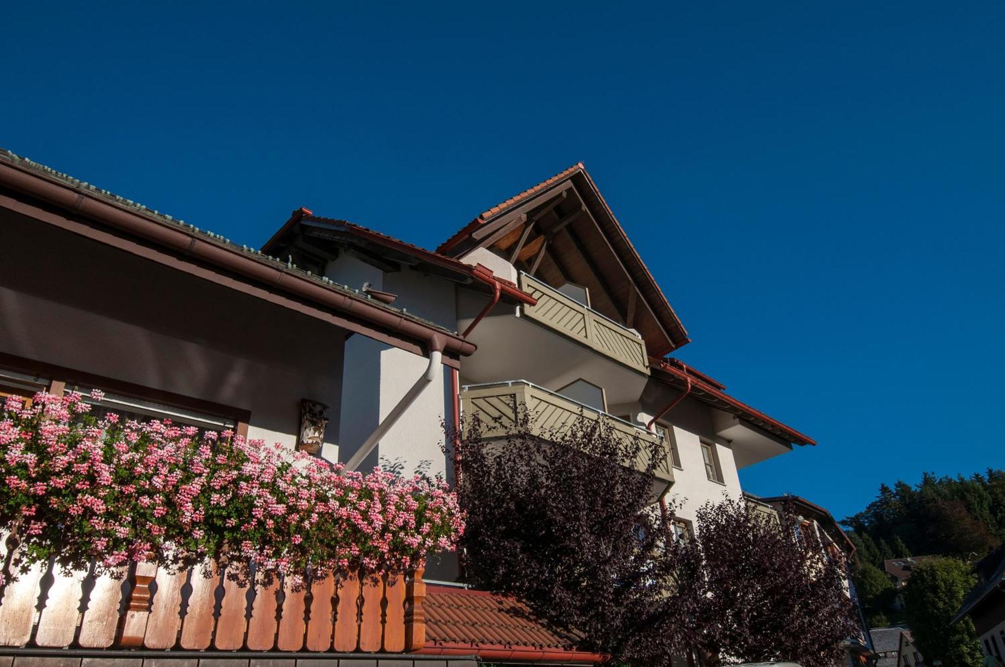 Apartment 06 - Ferienresidenz Roseneck, 2 Schlafzimmer, Mit Schwimmbad In Todtnauberg Bei Feldberg المظهر الخارجي الصورة
