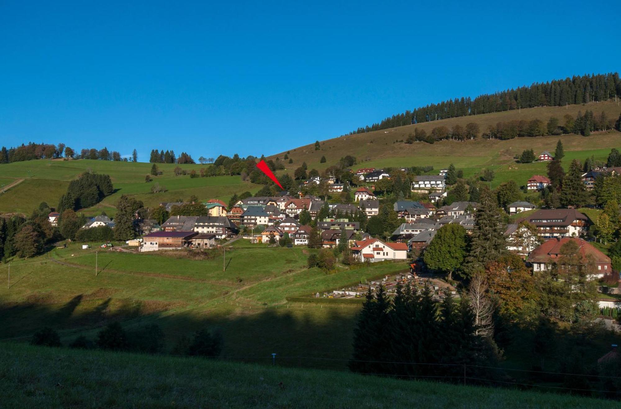 Apartment 06 - Ferienresidenz Roseneck, 2 Schlafzimmer, Mit Schwimmbad In Todtnauberg Bei Feldberg المظهر الخارجي الصورة