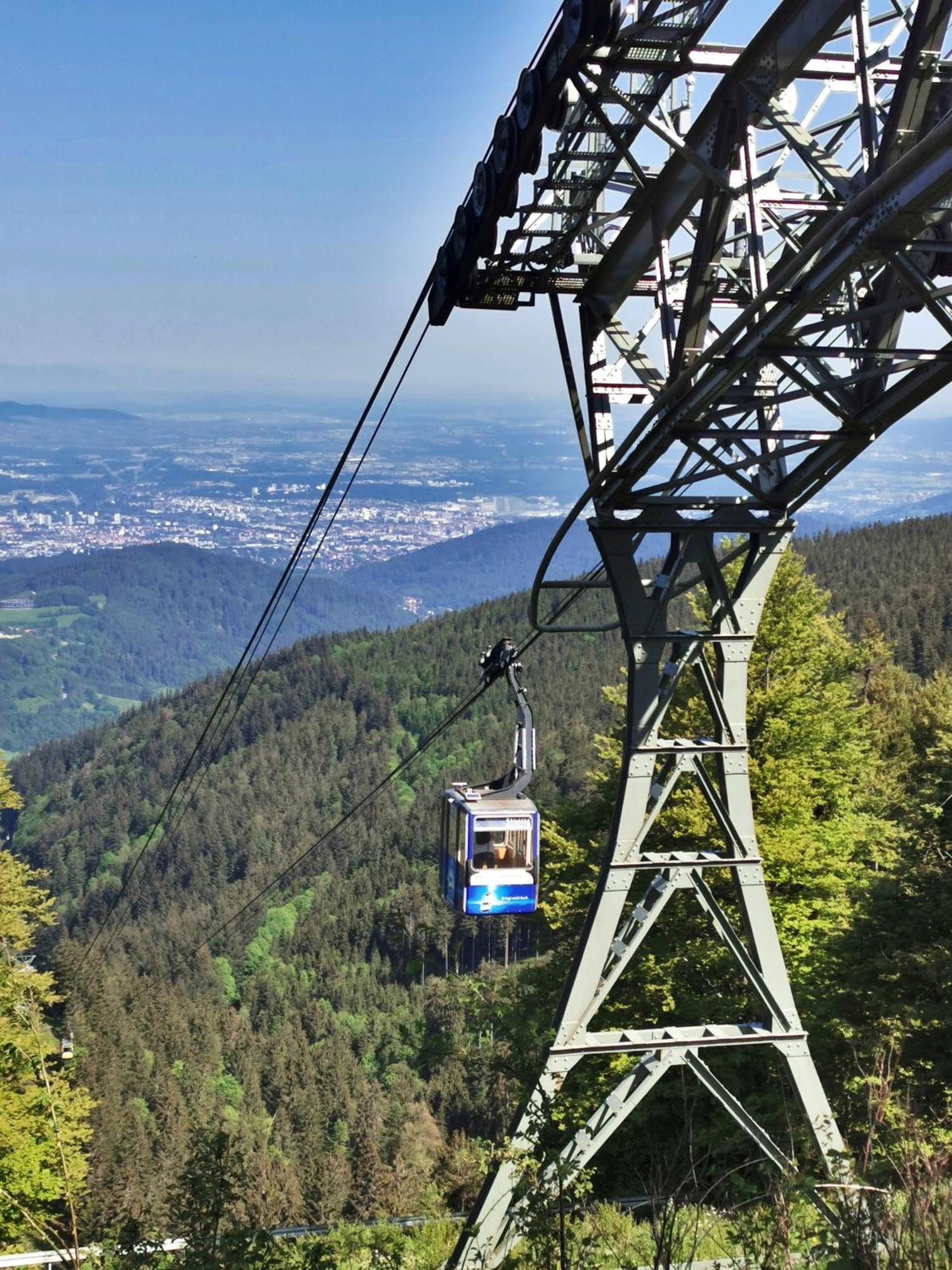 Apartment 06 - Ferienresidenz Roseneck, 2 Schlafzimmer, Mit Schwimmbad In Todtnauberg Bei Feldberg المظهر الخارجي الصورة