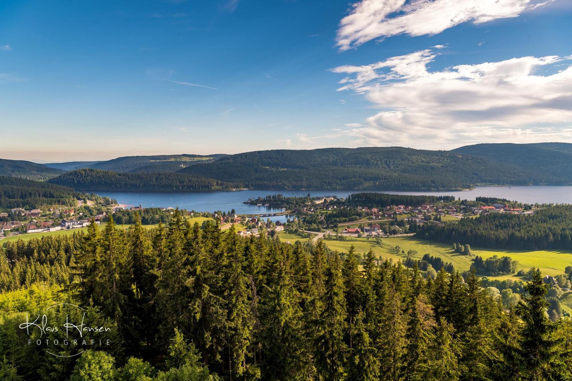 Apartment 06 - Ferienresidenz Roseneck, 2 Schlafzimmer, Mit Schwimmbad In Todtnauberg Bei Feldberg المظهر الخارجي الصورة